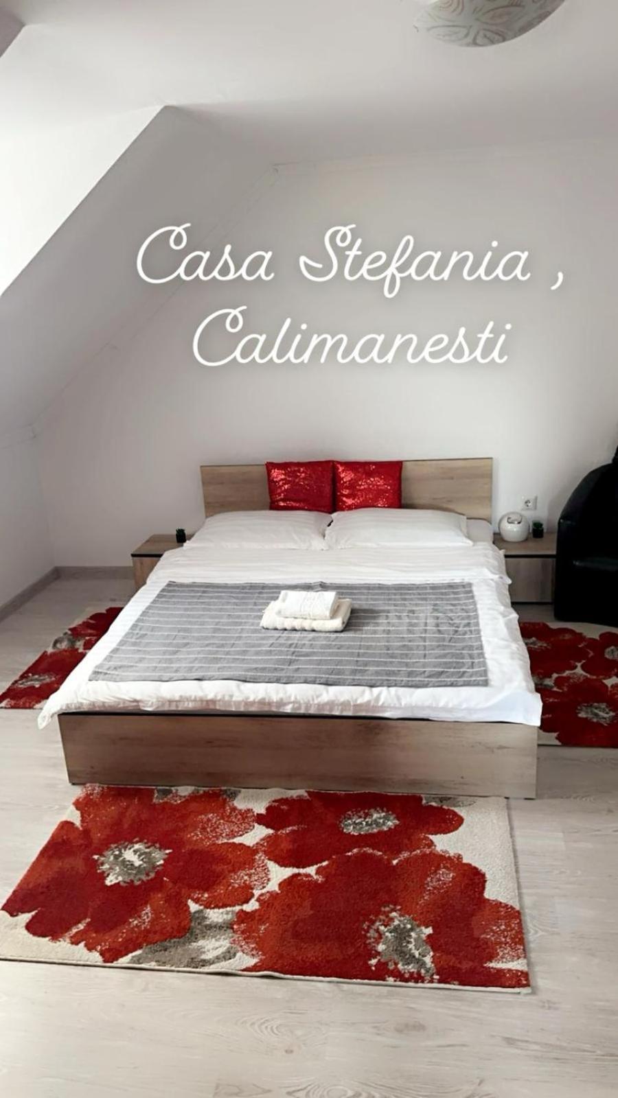 Апартаменти Casa Stefania 1 Келіменешті Екстер'єр фото